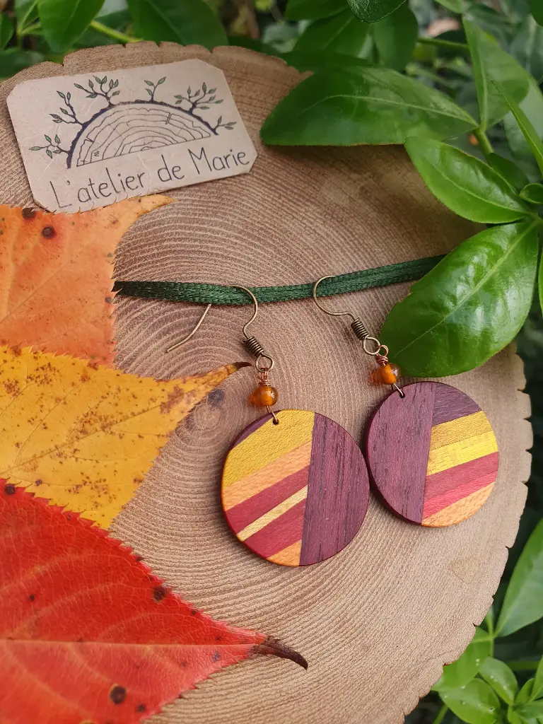 Boucles d'oreilles ronde en bois - ronde coloré