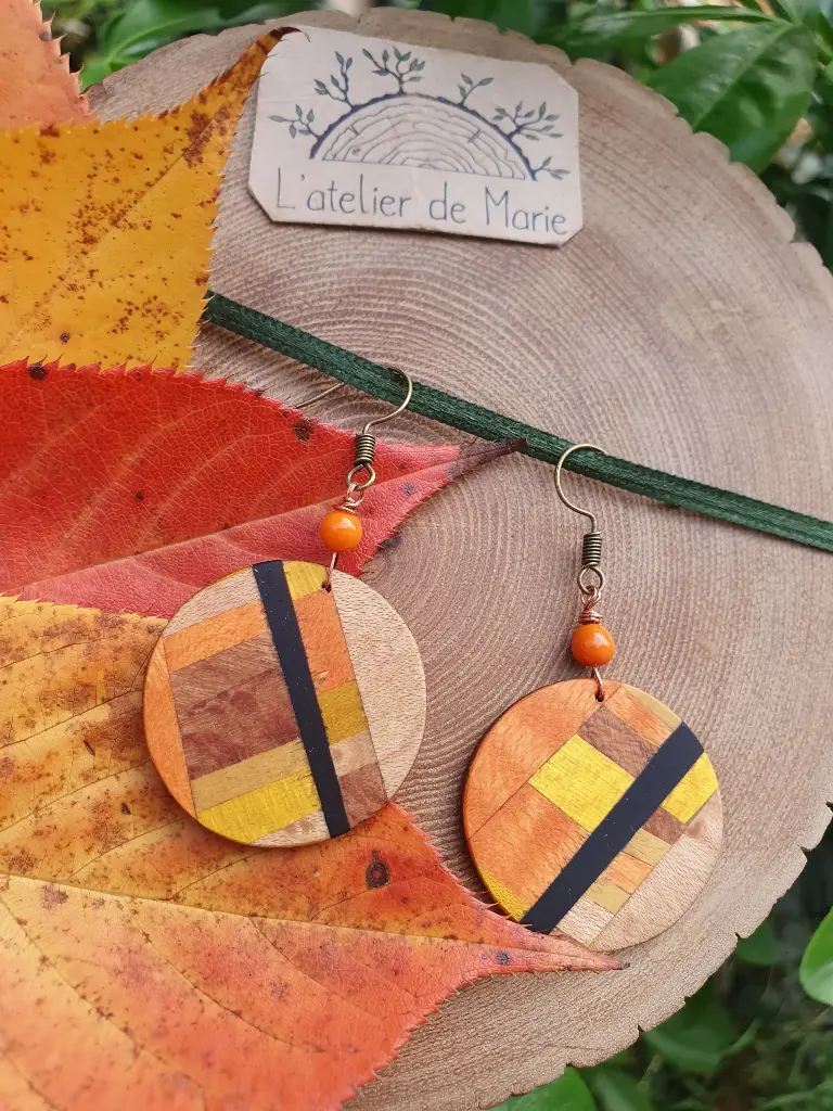 Boucles d'oreilles ronde en bois - ronde coloré